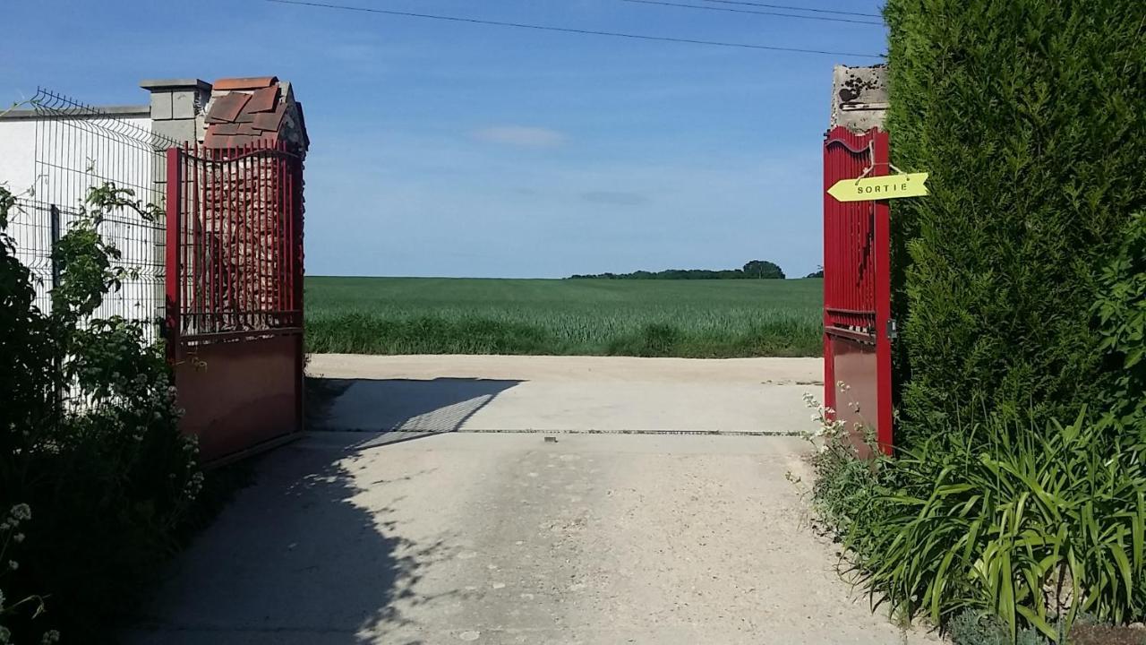 Les Nympheas, Appart Au Calme Et Grand Jardin A 15 Min De Disneyland, Crecy-la-Chapelle Exteriör bild