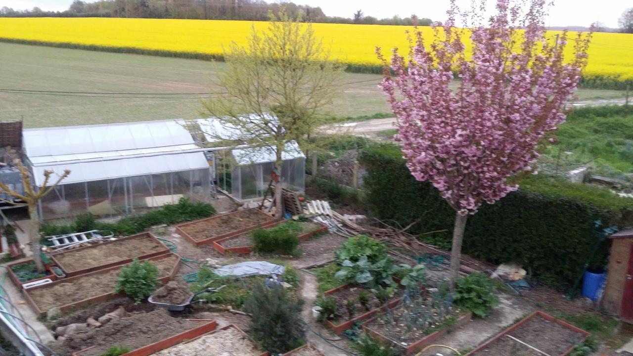 Les Nympheas, Appart Au Calme Et Grand Jardin A 15 Min De Disneyland, Crecy-la-Chapelle Exteriör bild
